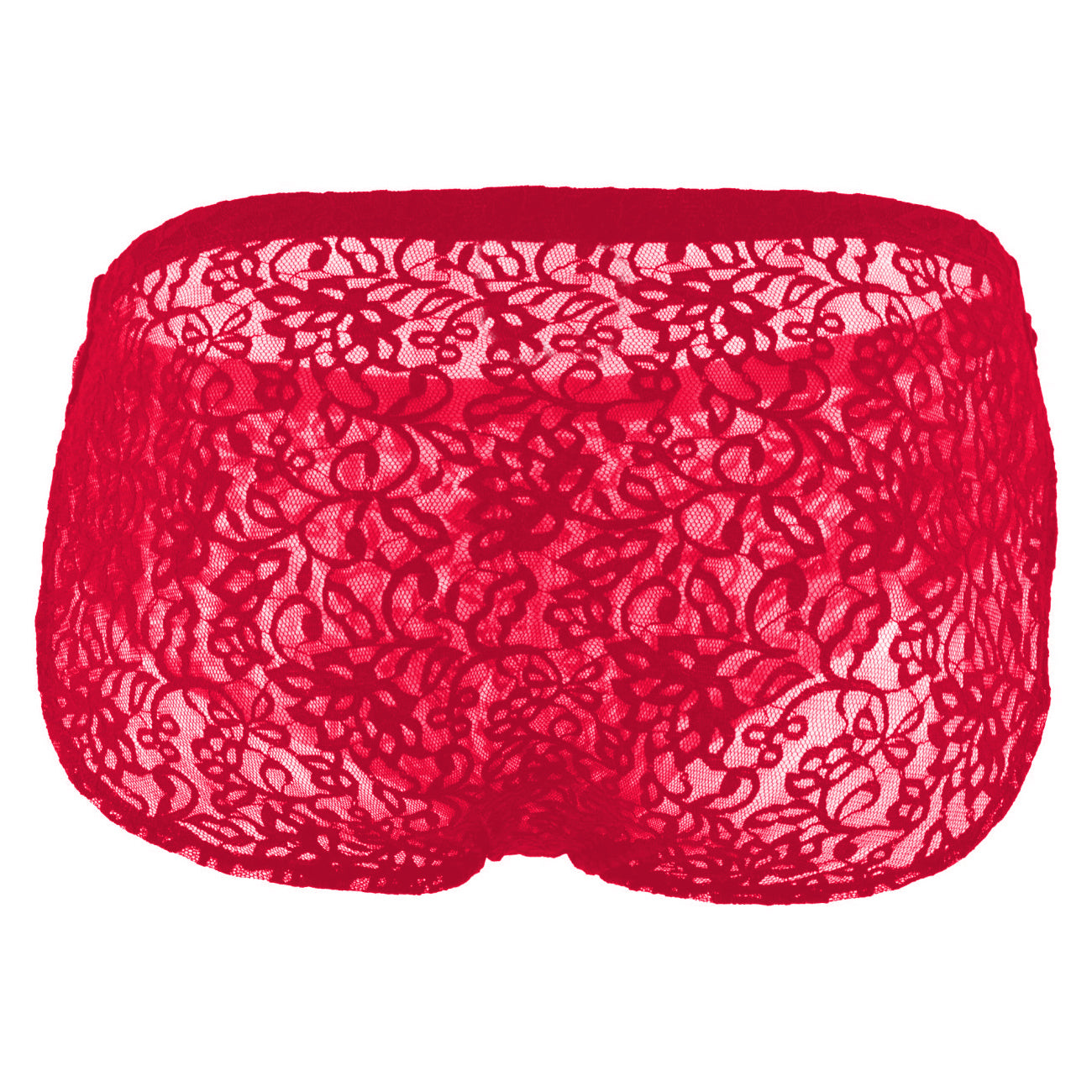 Men's Lace Fabric Brief Underwear (Black and Red)