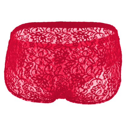 Men's Lace Fabric Brief Underwear (Black and Red)