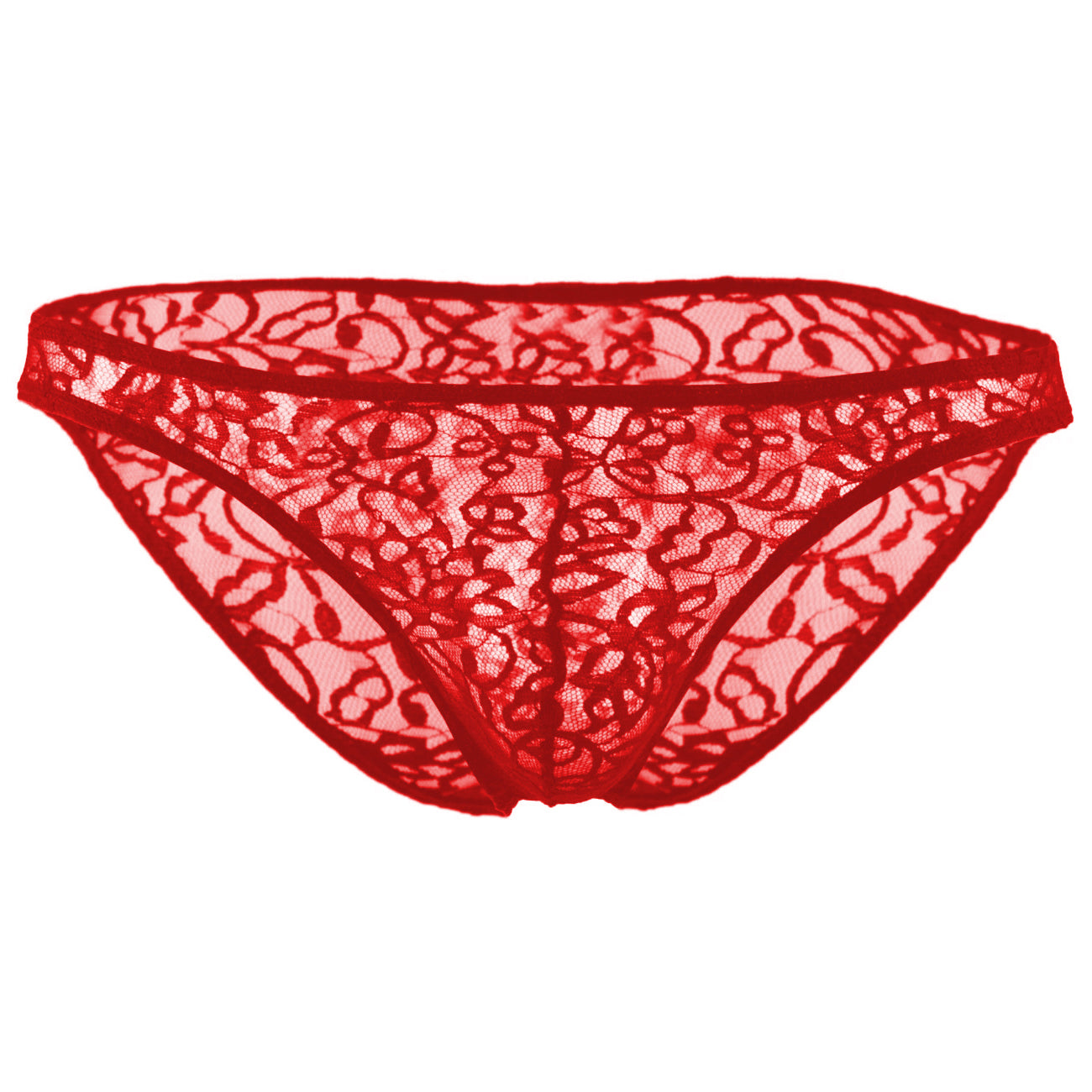 Lace Fabric  Free Size Brief underwear