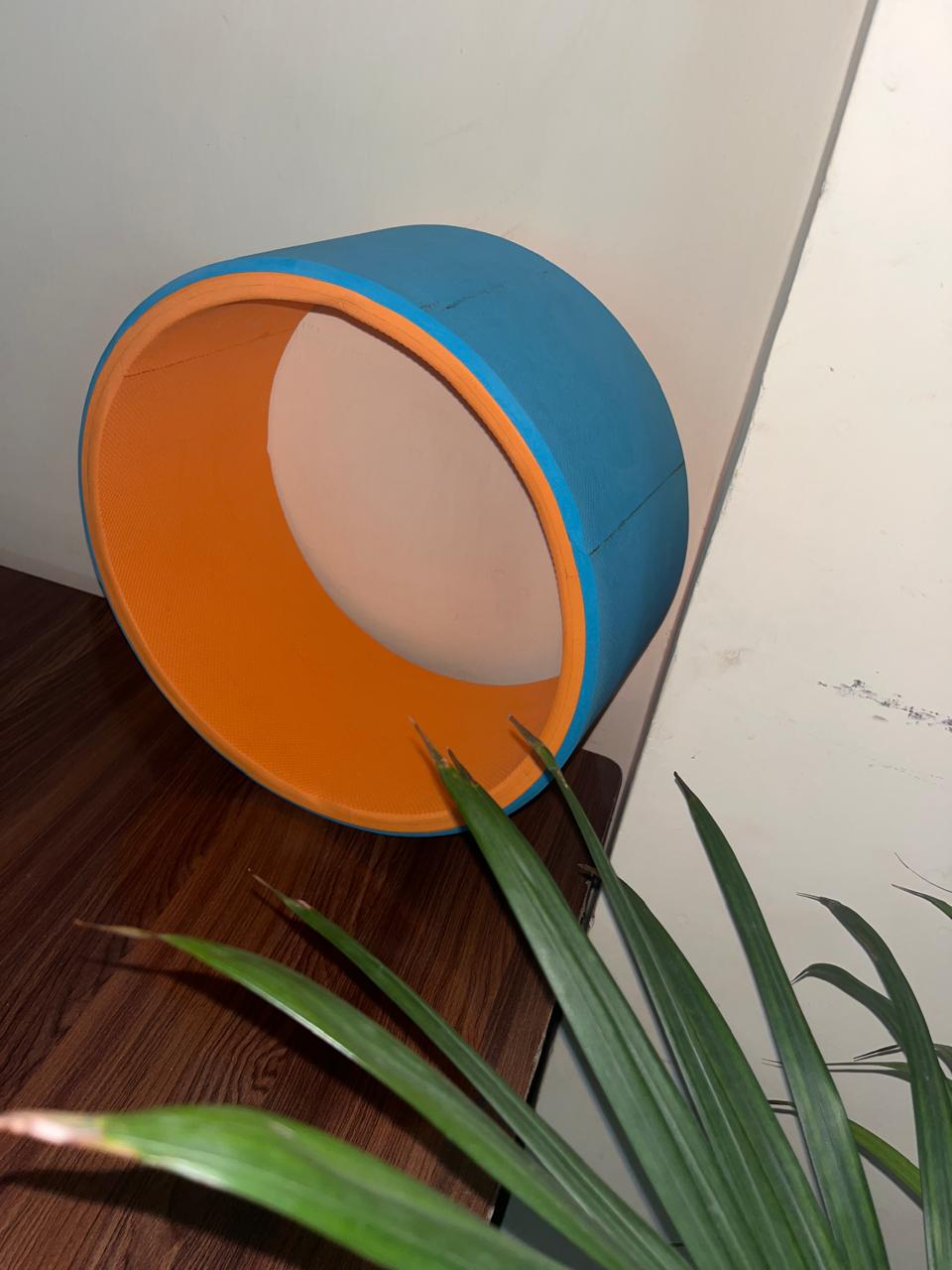 Yoga Wheel (13 Inches Diameter)- Helps Stretch, Flexibility And Balance