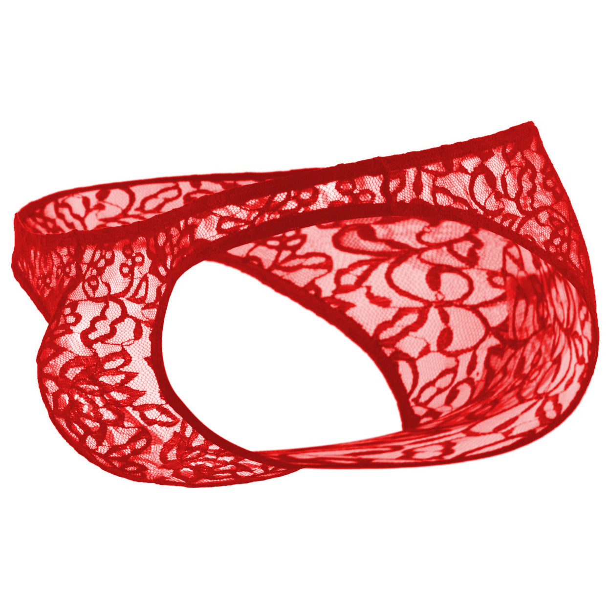 Lace Fabric  Free Size Brief underwear